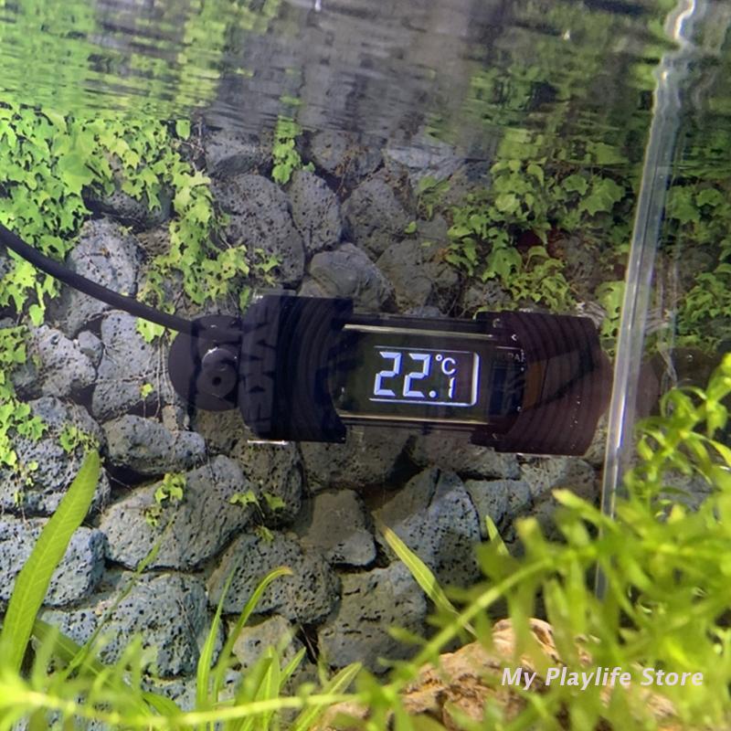 Aquarium Thermometer Digital S - Aquarium Fish Freshwater review and price