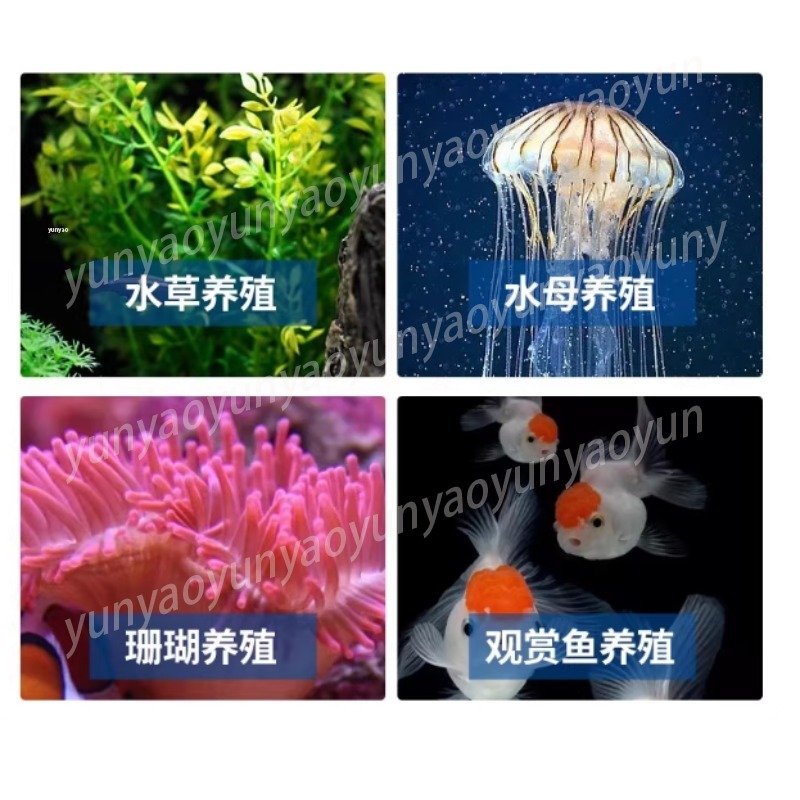 Small Aquarium Chiller Compres - Aquarium Fish Freshwater review and price