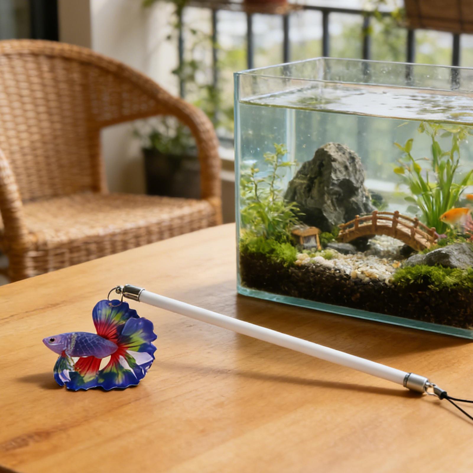 Fish Training Wand For Betta I - Aquarium Fish For Beginners review and price