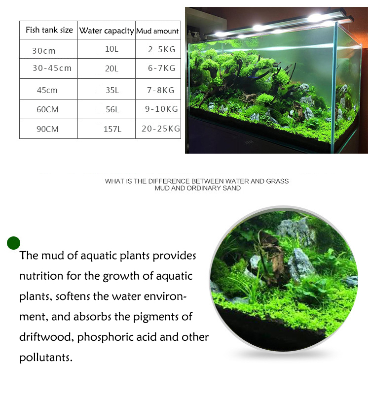 Aquarium Plant Seeds Soil Fish - Aquarium Fish Land review and price