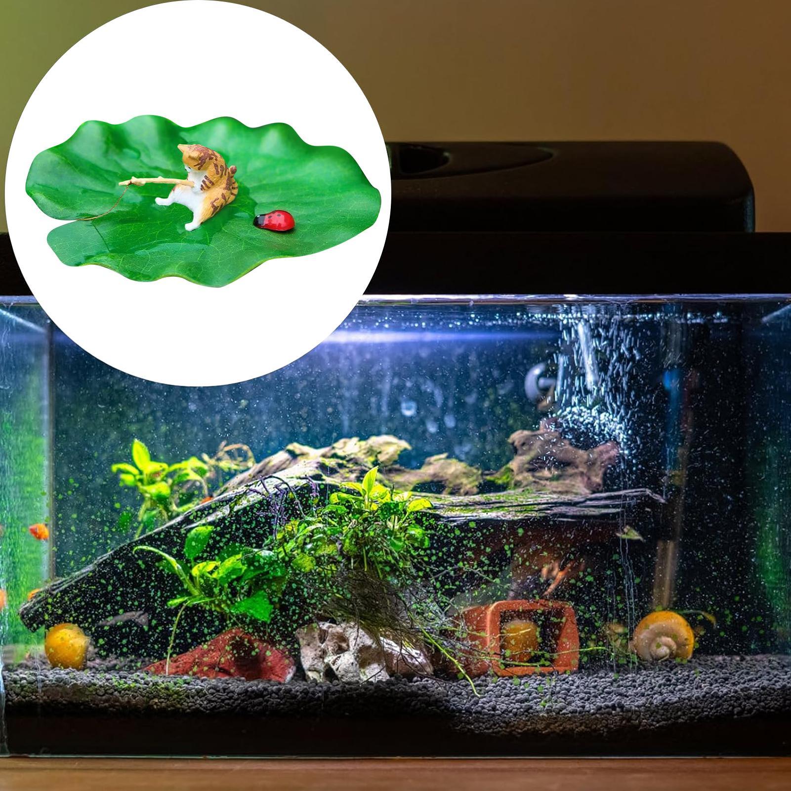 Aquarium Decor Floating Cat Fi - Aquarium Fish For Beginners review and price