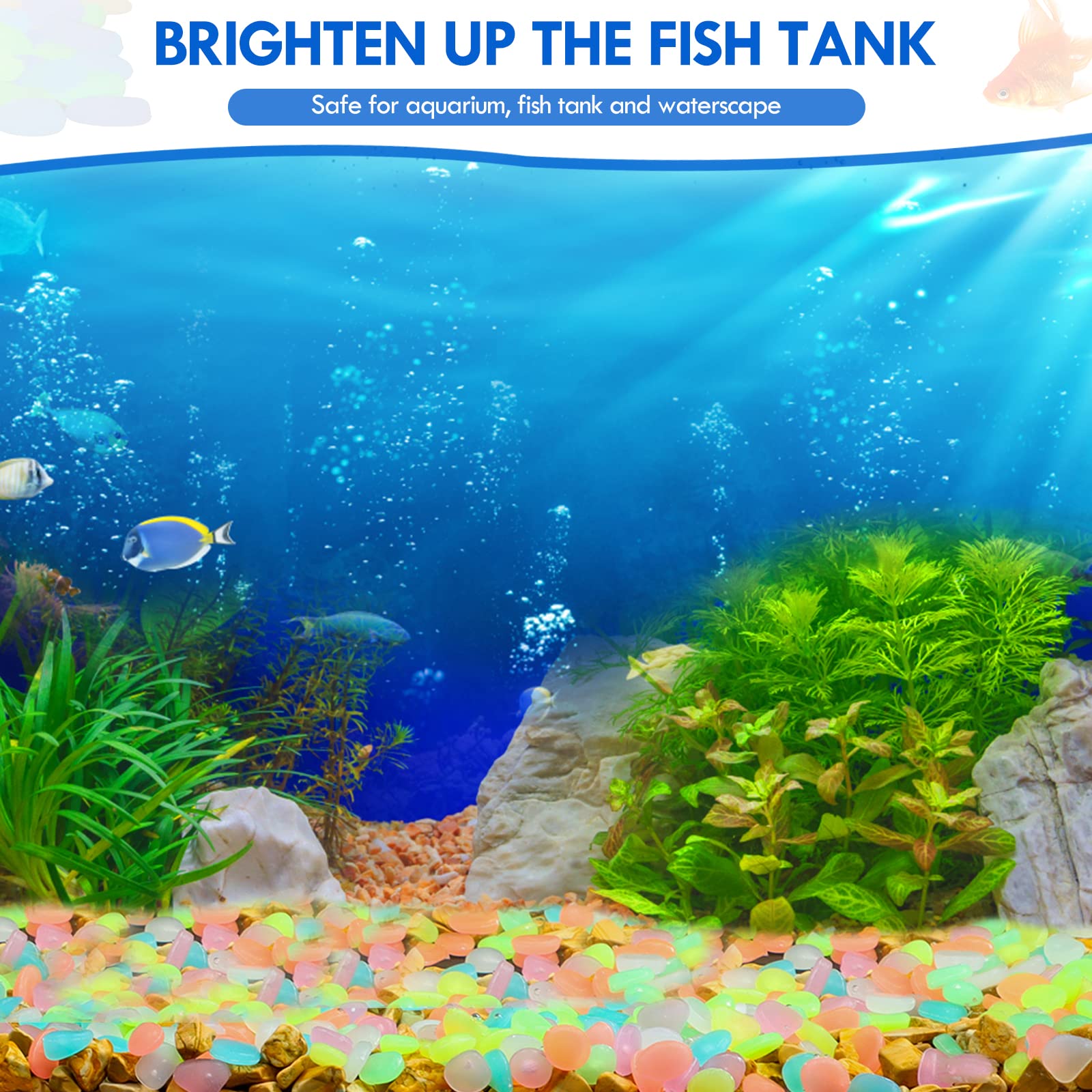 100Pcs Glow in the Dark Garden - Aquarium Fish Land review and price
