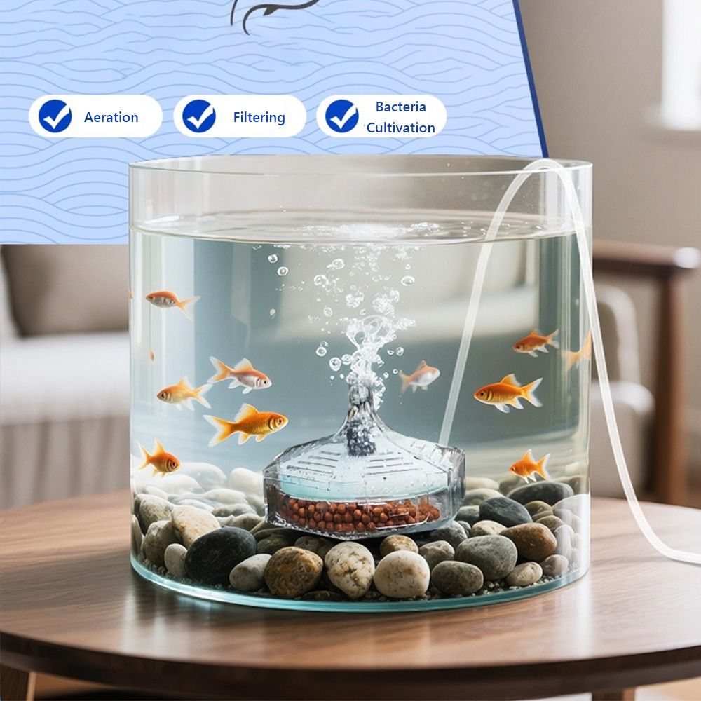 New Portable Aquarium Fish Tan - Aquarium Fish For Beginners review and price
