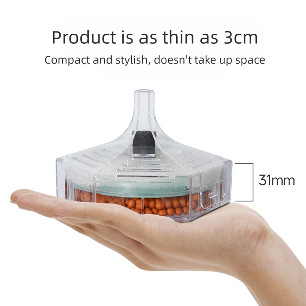 New Portable Aquarium Fish Tan - Aquarium Fish For Beginners review and price