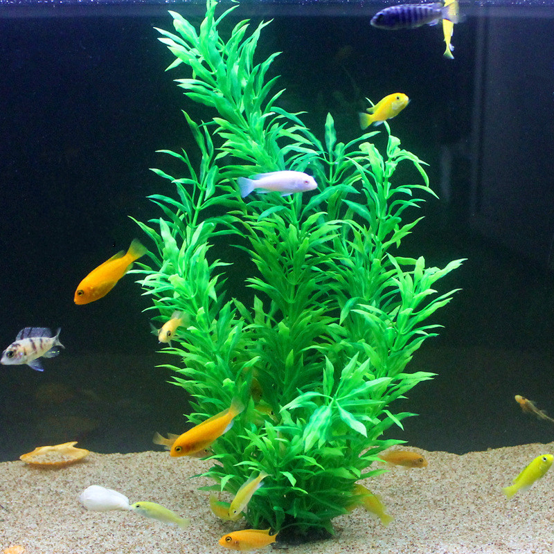 50CM Artificial Fish Tank Rare - Aquarium Fish Land review and price