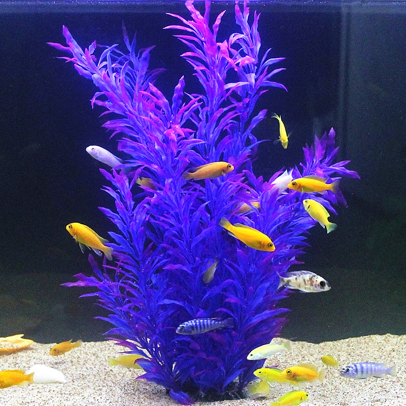 50CM Artificial Fish Tank Rare - Aquarium Fish Land review and price