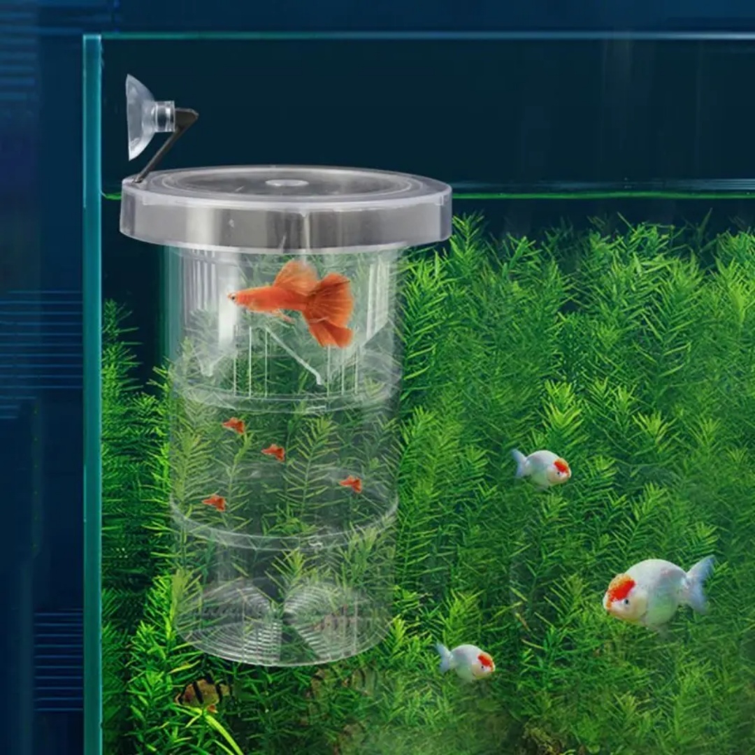 Acrylic Floating Fish Breeding - Aquarium Fish Cave review and price
