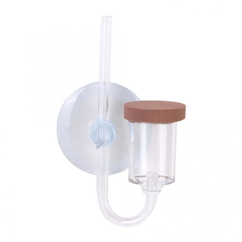 Acrylic Mini Fish Tank Live Pl - Live Fish Aquarium review and price