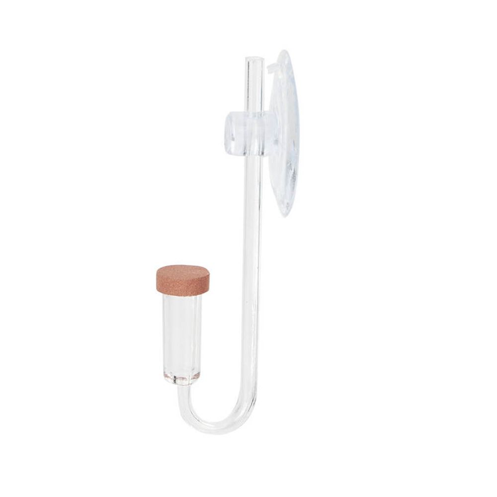 Acrylic Mini Fish Tank Live Pl - Live Fish Aquarium review and price