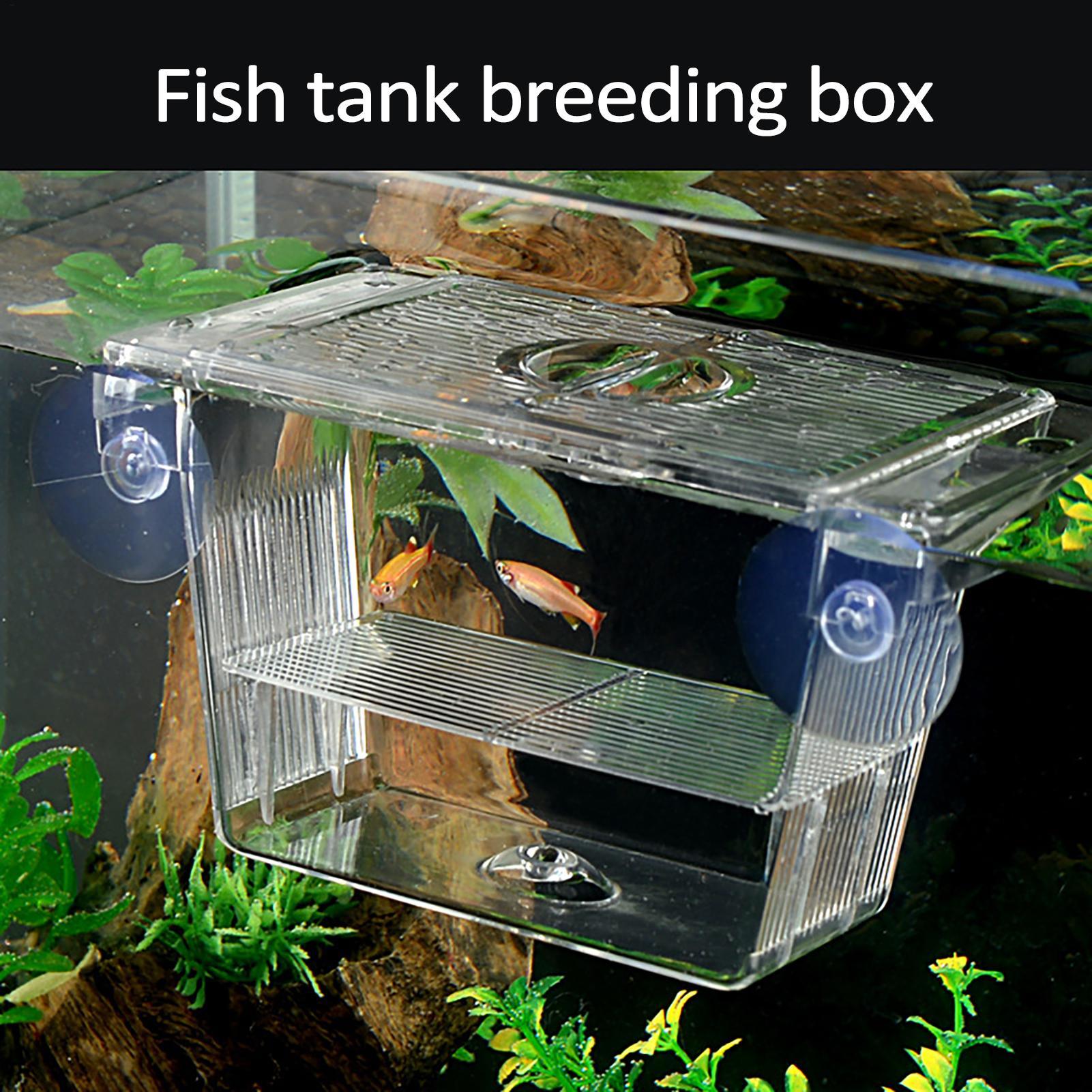 Breeder Box for Fish Tank Tran - Aquarium Fish In Bowl review and price