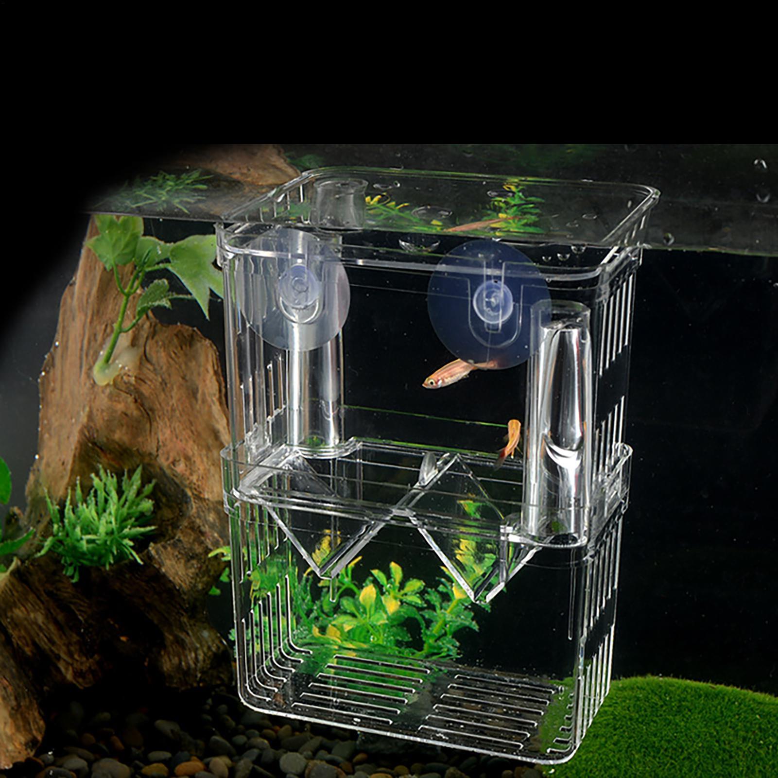 Breeder Box for Fish Tank Tran - Aquarium Fish In Bowl review and price