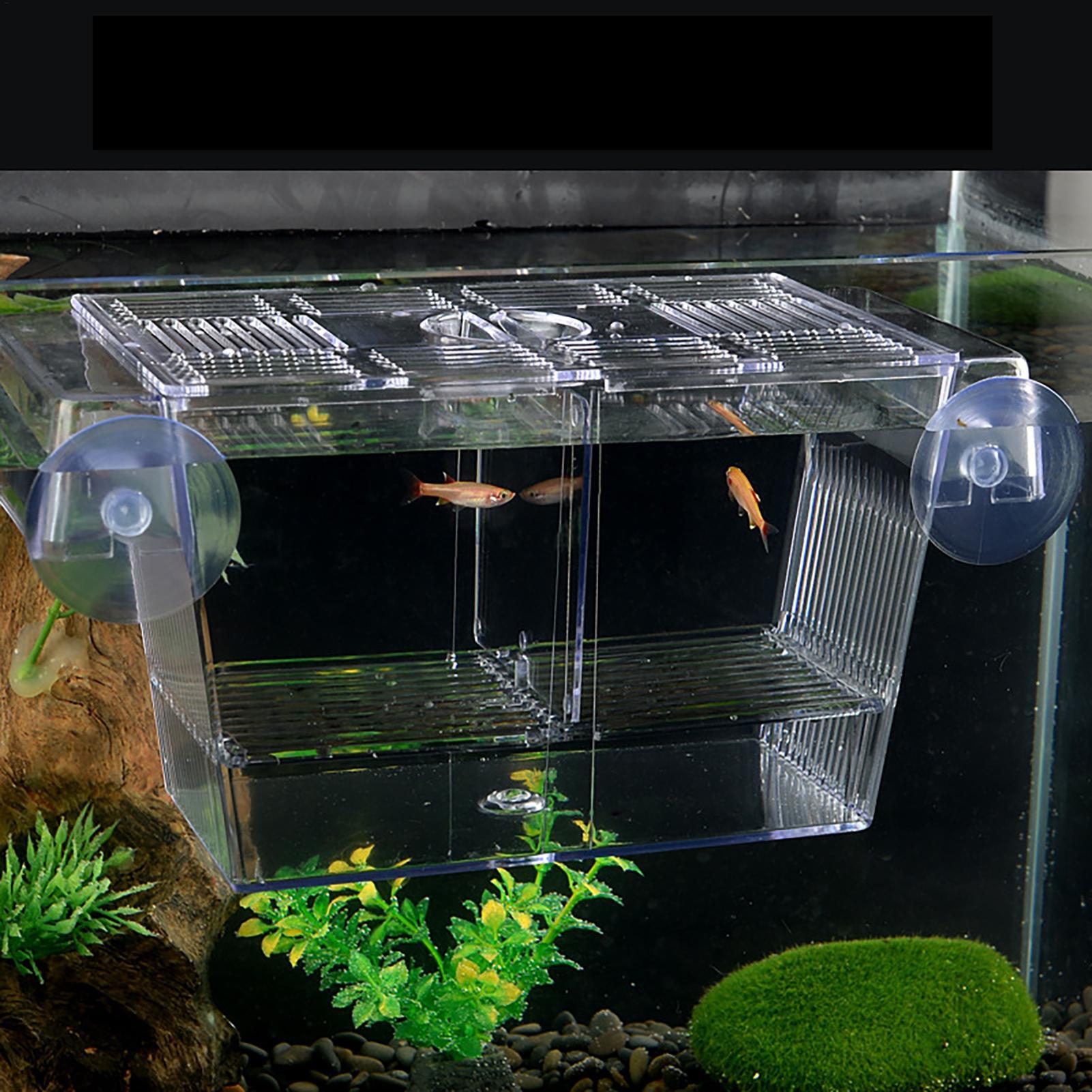 Breeder Box for Fish Tank Tran - Aquarium Fish In Bowl review and price