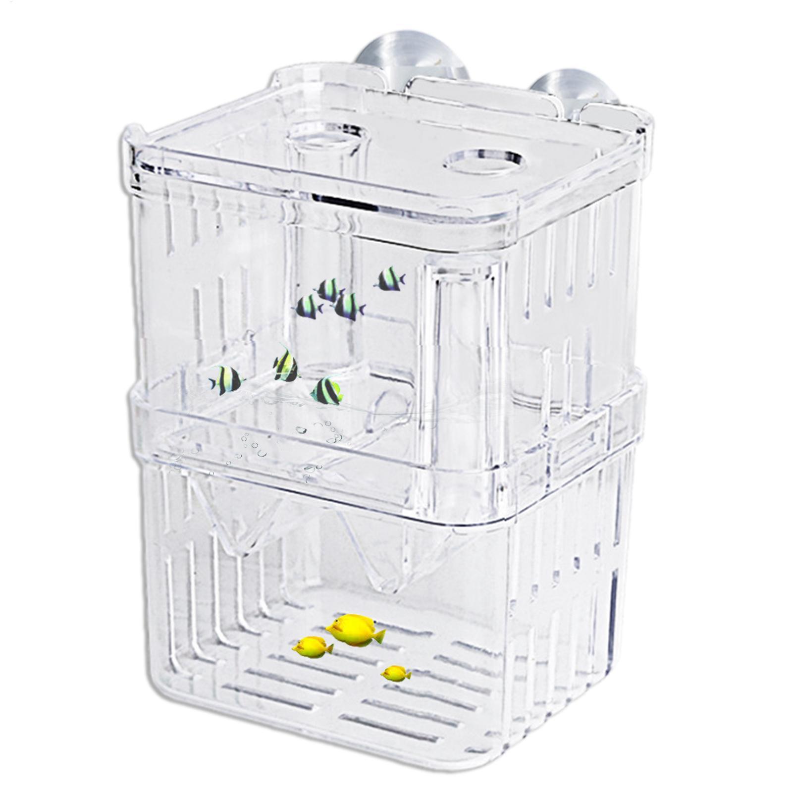 Breeder Box for Fish Tank Tran - Aquarium Fish In Bowl review and price