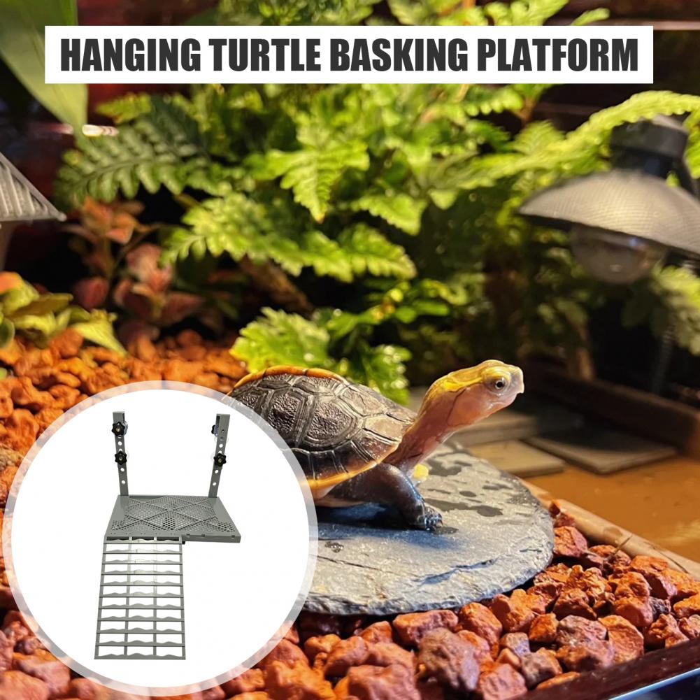 Aquarium Decoration Solid Form - Aquarium Fish Land review and price