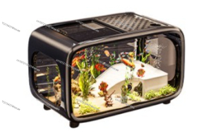 Creative Transparent Ecologica - Live Fish Aquarium review and price