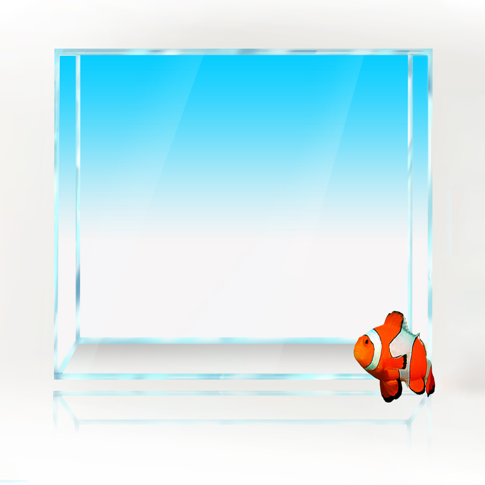 Square Fish Tank Background Wh - Aquarium Fish Yellow And Black review and price