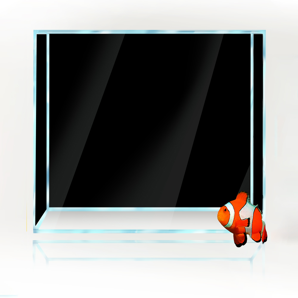 Square Fish Tank Background Wh - Aquarium Fish Yellow And Black review and price