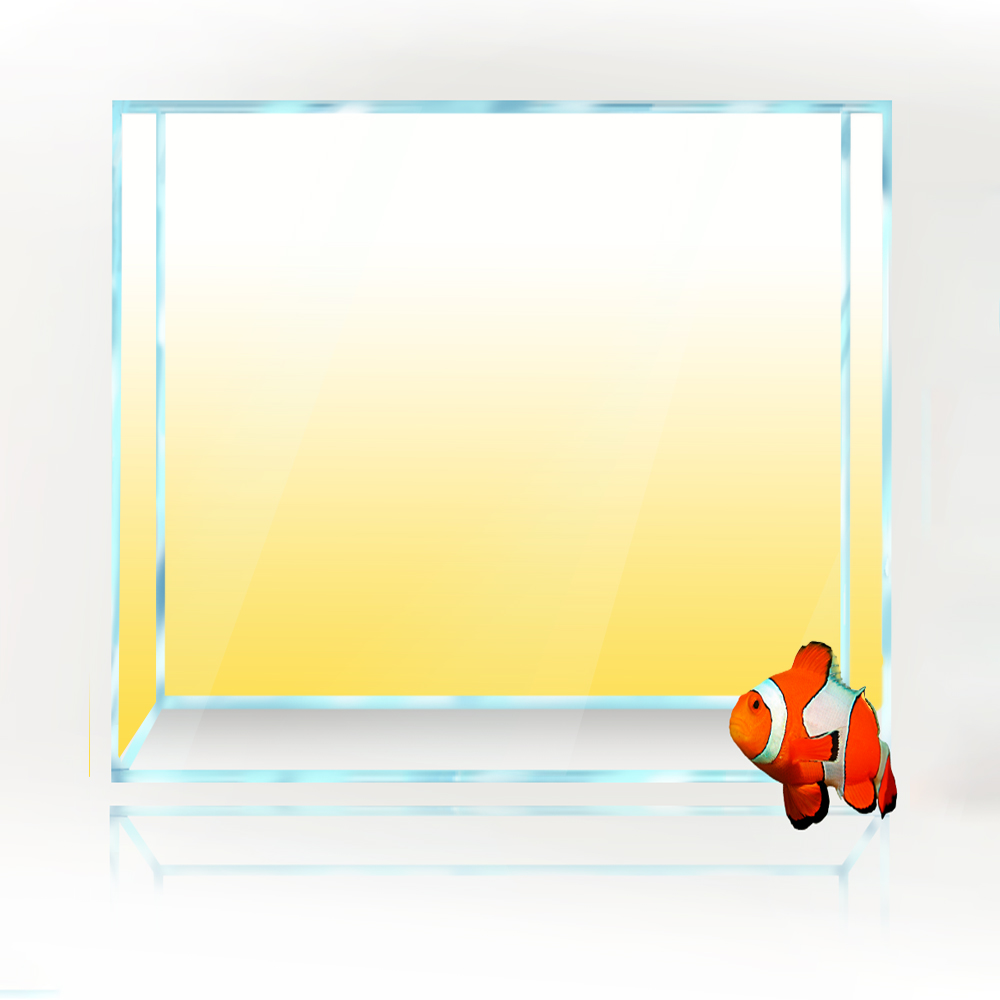 Square Fish Tank Background Wh - Aquarium Fish Yellow And Black review and price