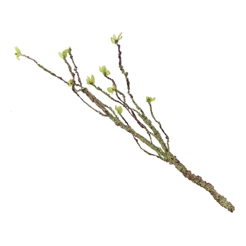 Vines Decor Climbing Branches  - Aquarium Fish Land review and price