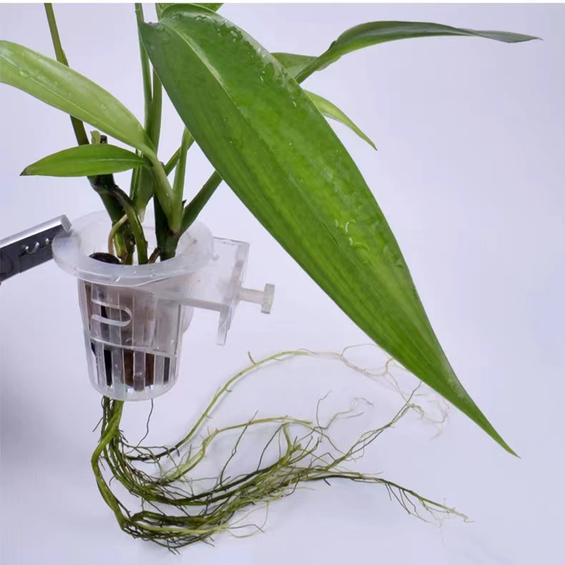 Aquarium Planting Basket Hydro - Aquarium Fish For Beginners review and price